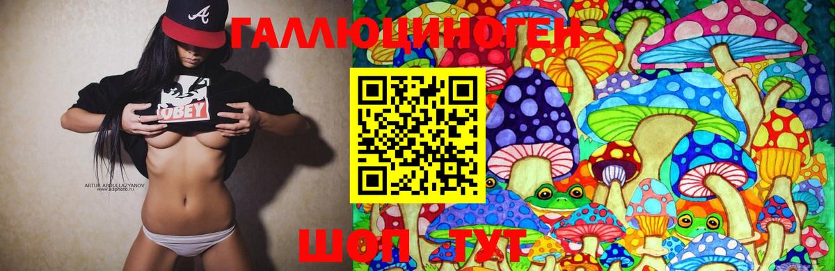 Галлюциногенные грибы Psilocybine cubensis Кисловодск