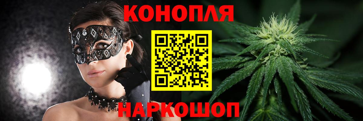 Каннабис сатива Кисловодск